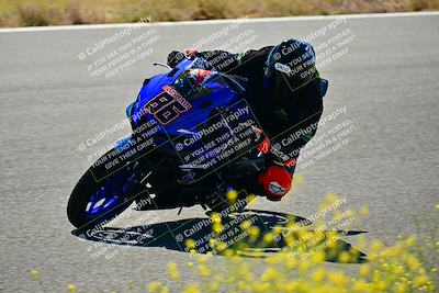 media/May-10-2024-2WTD (Fri) [[c88d7990af]]/Group C/Session 2-The Bowl/